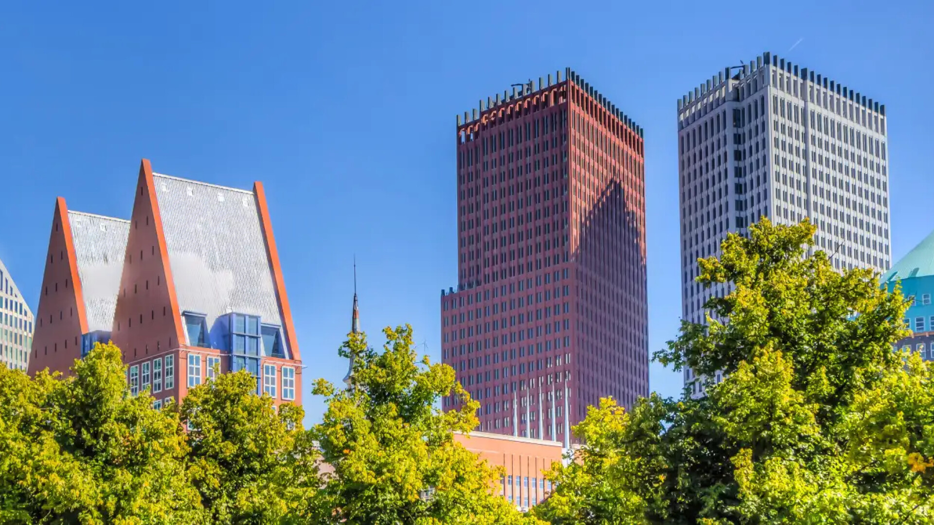 Advies & Projectbegeleiding Realisatie