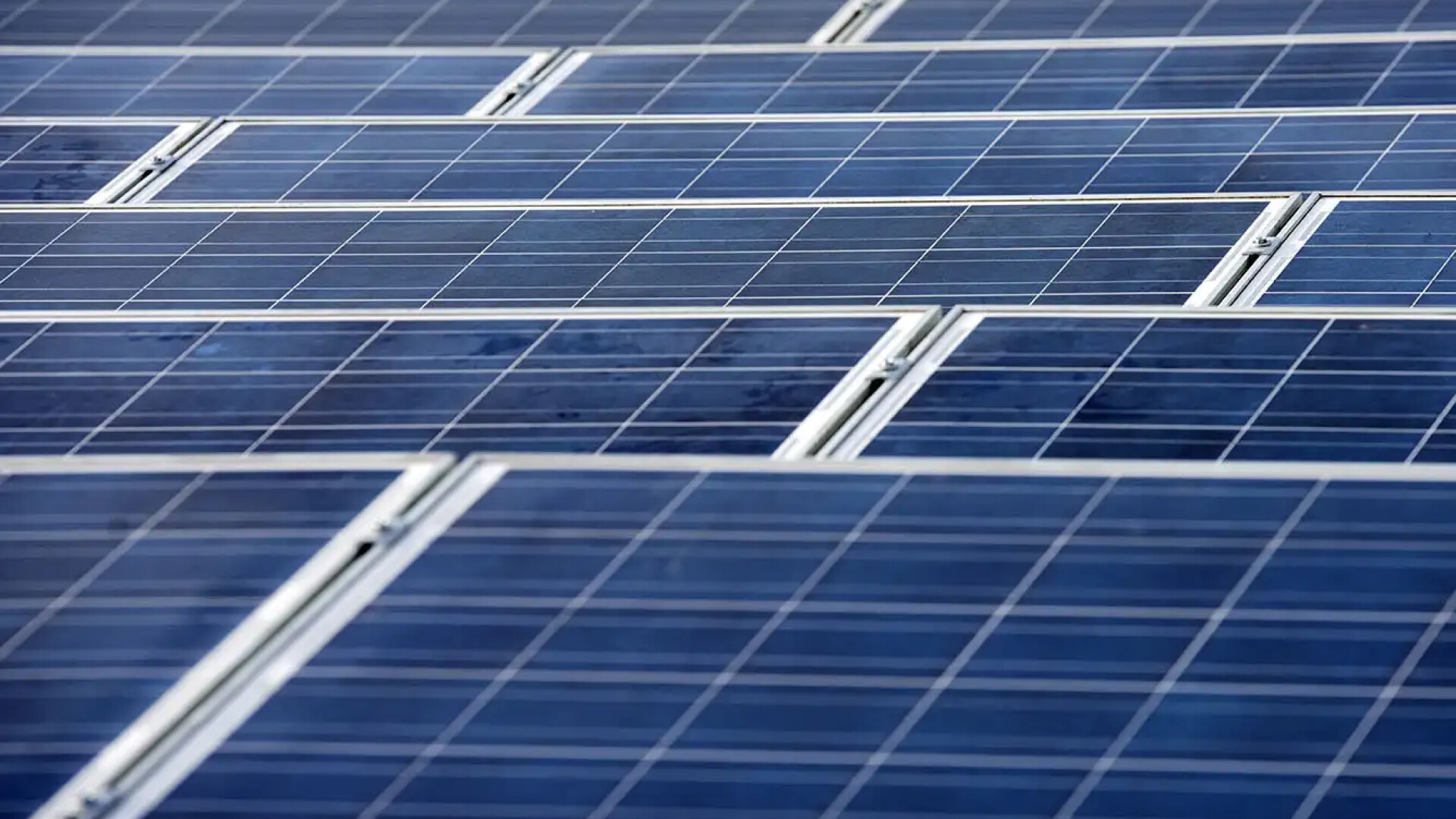 Zonnepanelen en dakveiligheid
